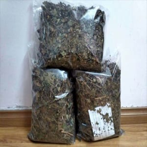 Chè vằng sẽ( vằng lá nhỏ)